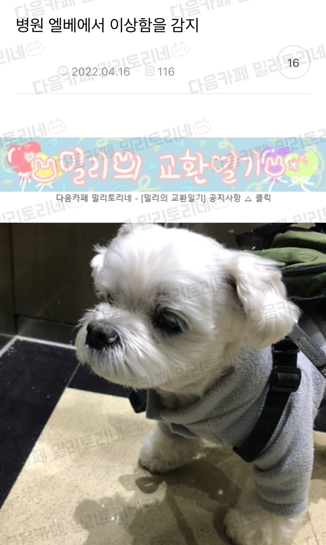 병원가는줄 몰으는 밥오 | 인스티즈