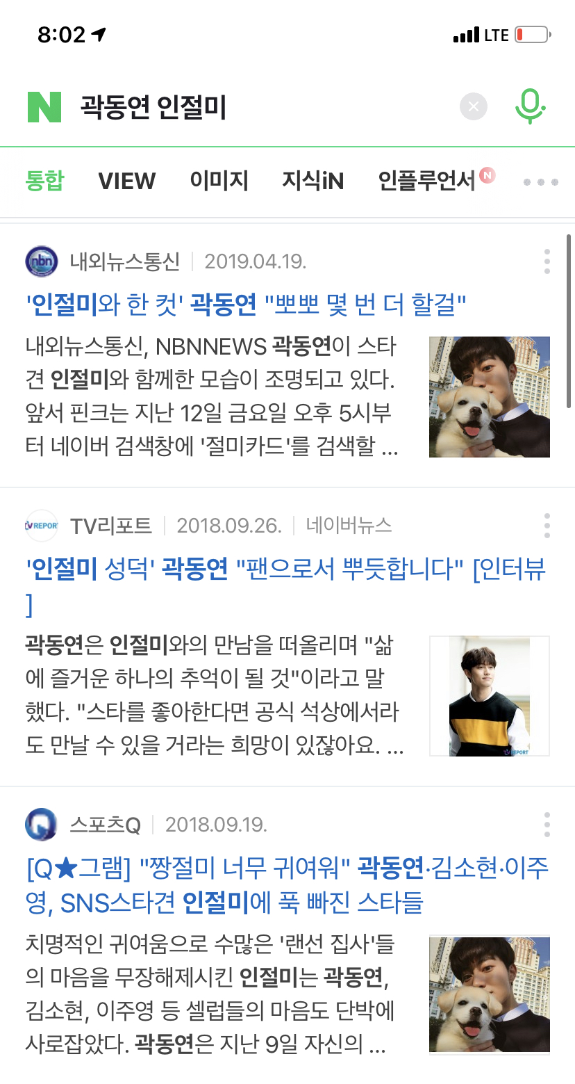 한 때 대한민국에서 모르는 사람이 없던 강아지 | 인스티즈