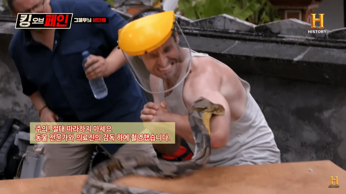 보는 사람들마다 제발 주작 좀 하라고 하는 프로그램 ㄷㄷ | 인스티즈