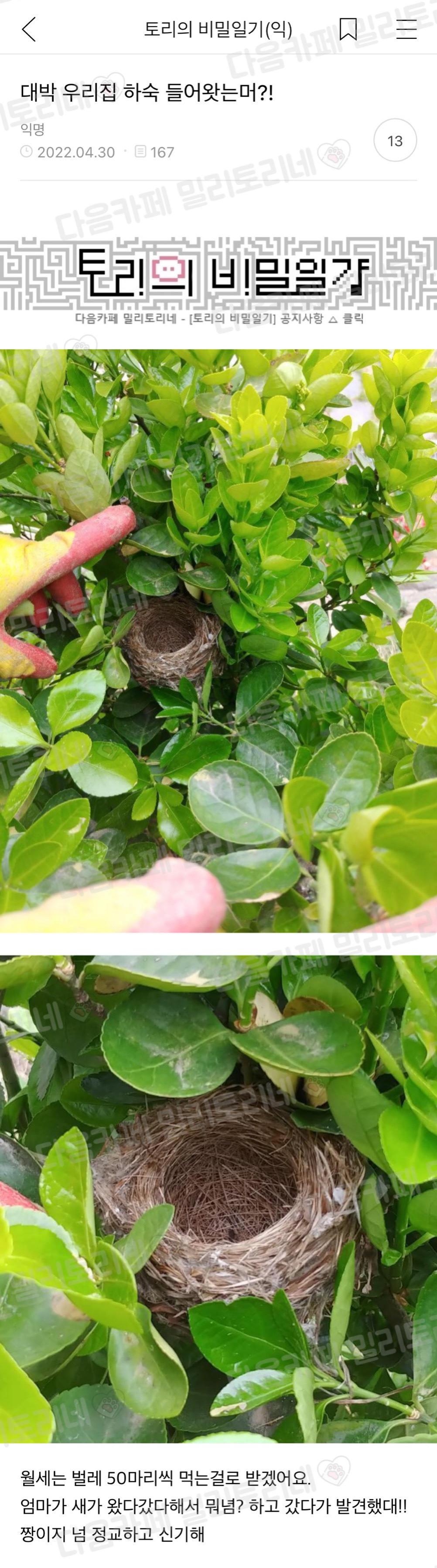 대박 우리집 하숙 들어왓는머?! | 인스티즈