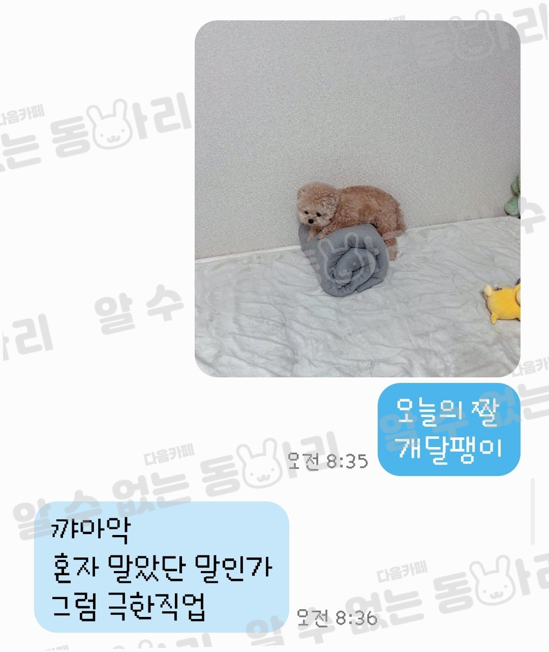 이상한짤 보냈을때 울엄마 답장 모음 | 인스티즈