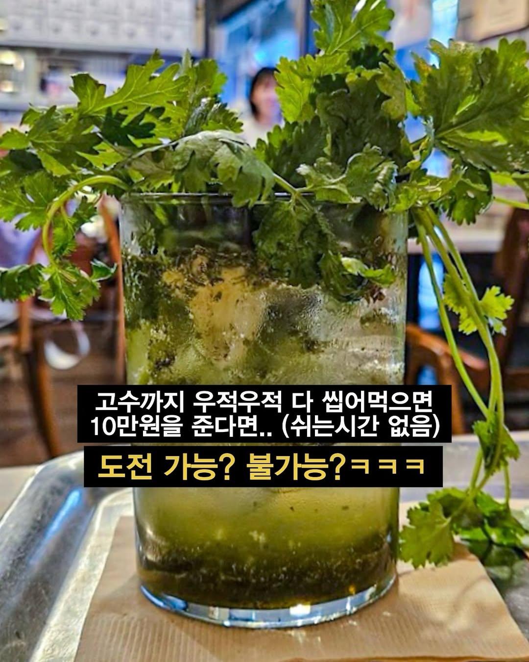 성심당이 내놓은 선넘은 텃밭에디션 | 인스티즈