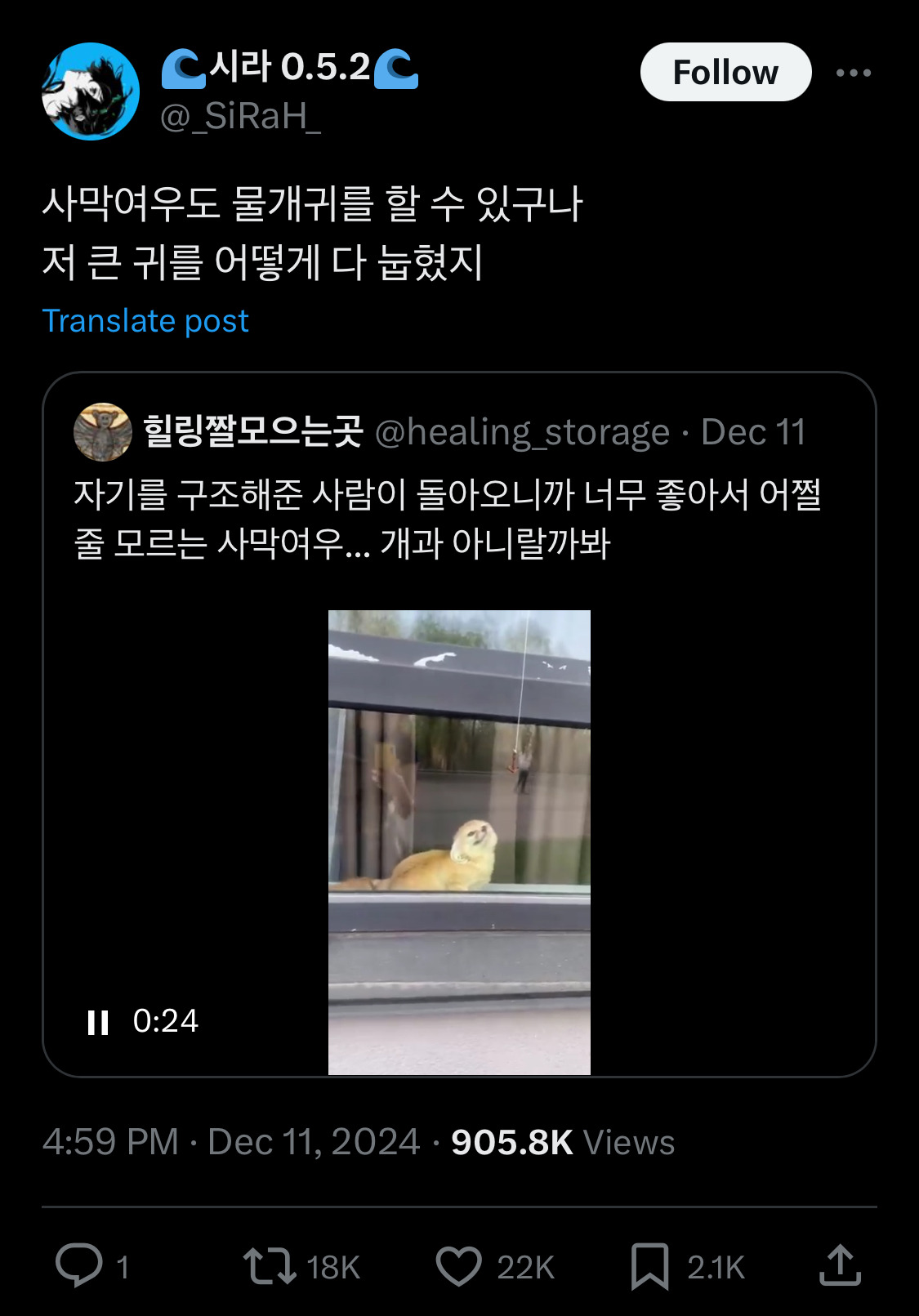 담화문으로 여론 바뀌는듯?.twt | 인스티즈