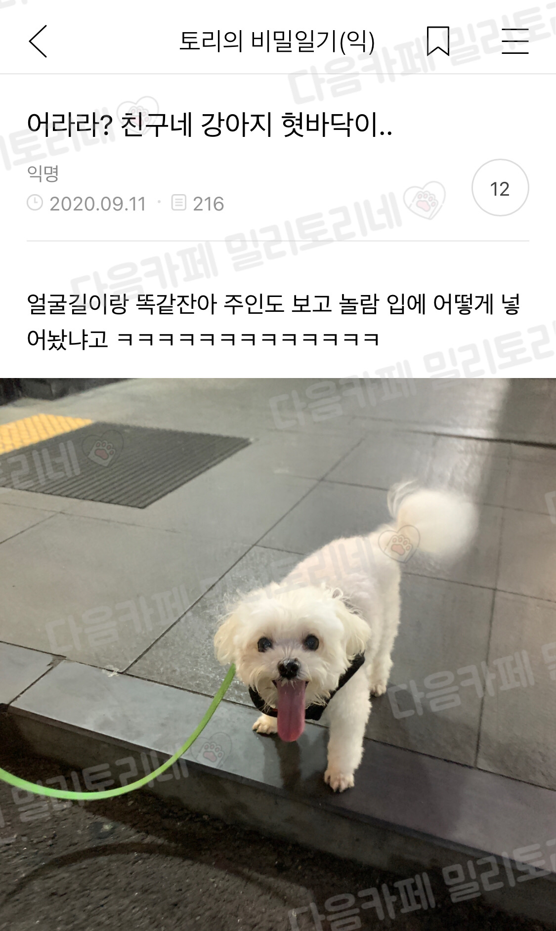 어라라? 친구네 강아지 혓바닥이.. | 인스티즈