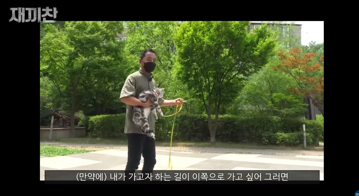 고양이 산책 시키는 강아지 훈련사 이찬종 선생님 | 인스티즈