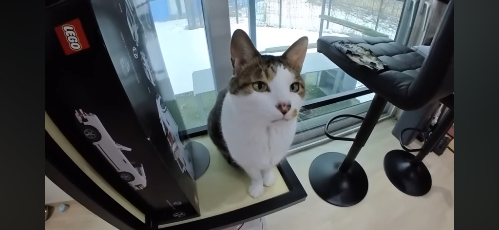 [hahaha] 도라에몽이 된 무(feat.무라에몽) | 인스티즈