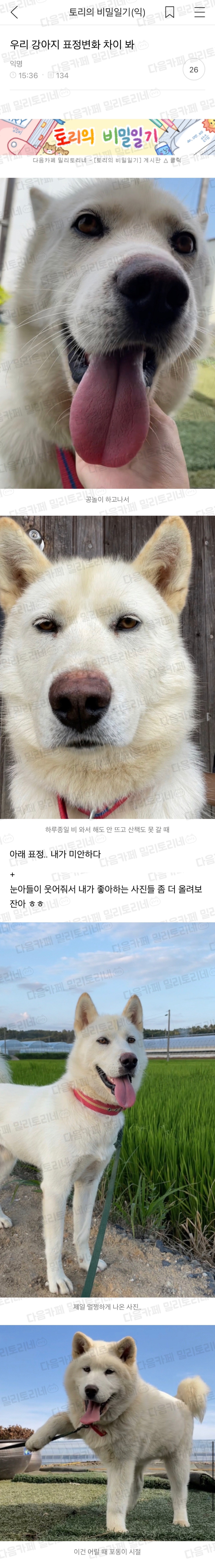 [냥귀염] 우리 강아지 표정변화 차이 봐 | 인스티즈