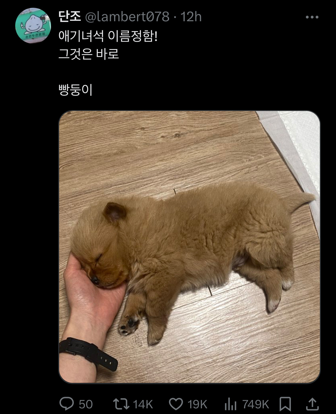 담화문으로 여론 바뀌는듯?.twt | 인스티즈