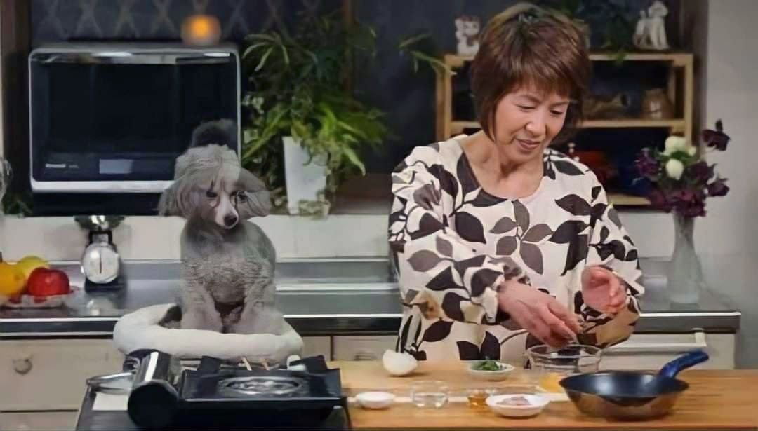 어느 요리 유튜버가 인형과 함께 촬영하는 이유 | 인스티즈