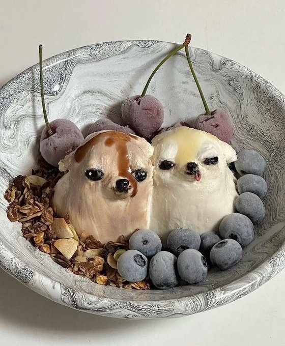 와와 이미지
