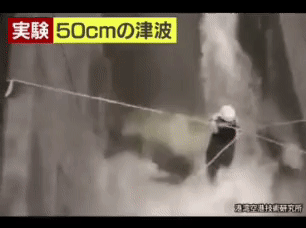밀려드는 힘이 너무 강해서 인간은 못버티는 50센치 쓰나미 실험 | 인스티즈