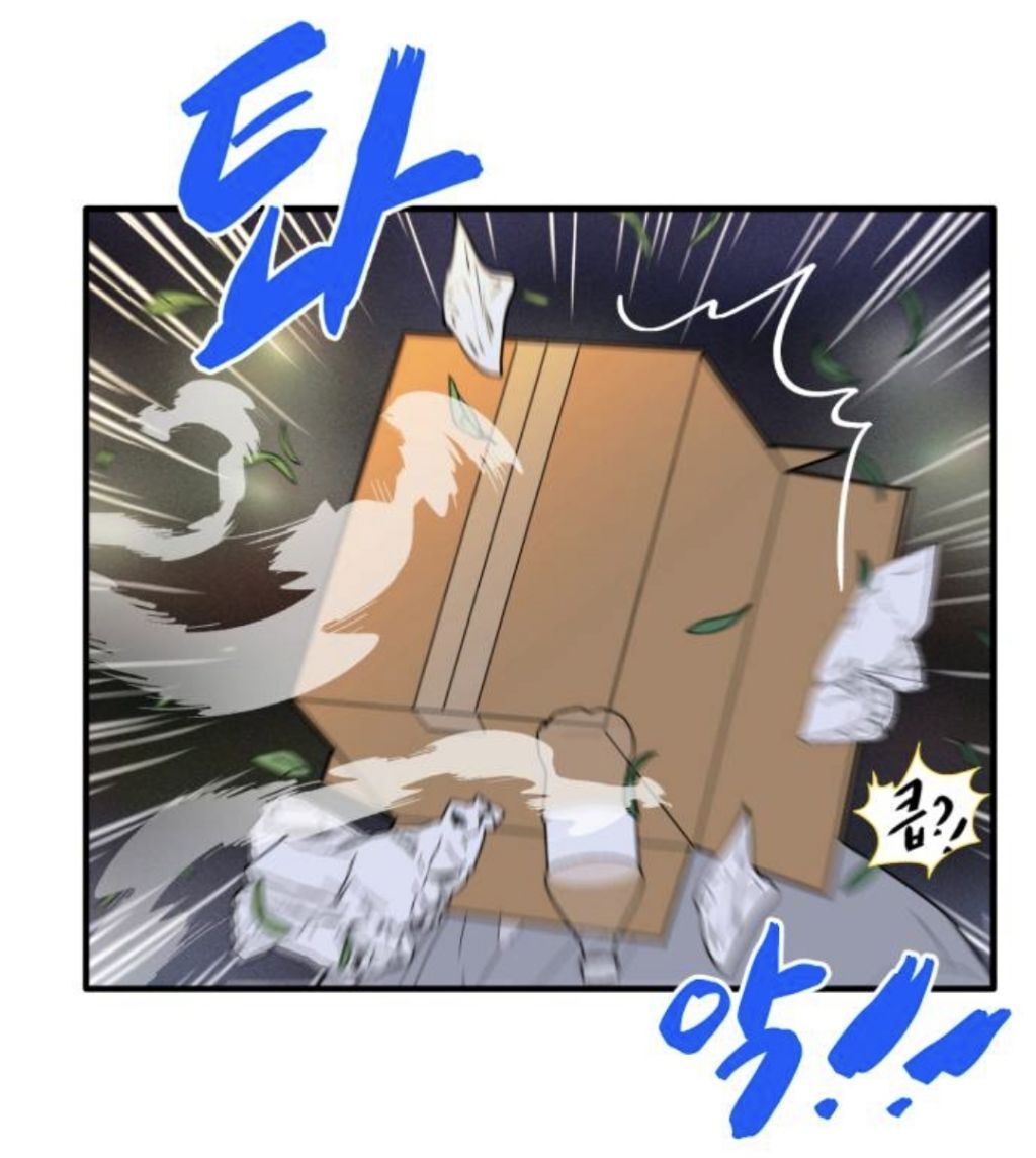 헐 최애 아이돌 멤버가 내 앞에서만 노래랑 춤 보여준대...!! | 인스티즈