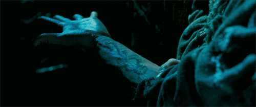 해리포터 팬들 사이에서 갈리는 유형 | 인스티즈