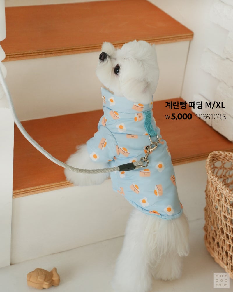 다이소 겨울철 강아지+고양이옷 ☃️ | 인스티즈