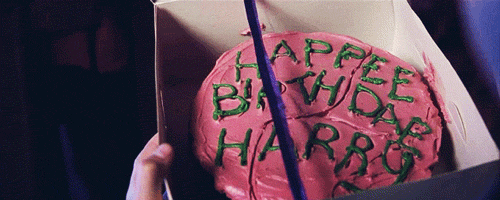 해리포터 팬들 사이에서 갈리는 유형 | 인스티즈