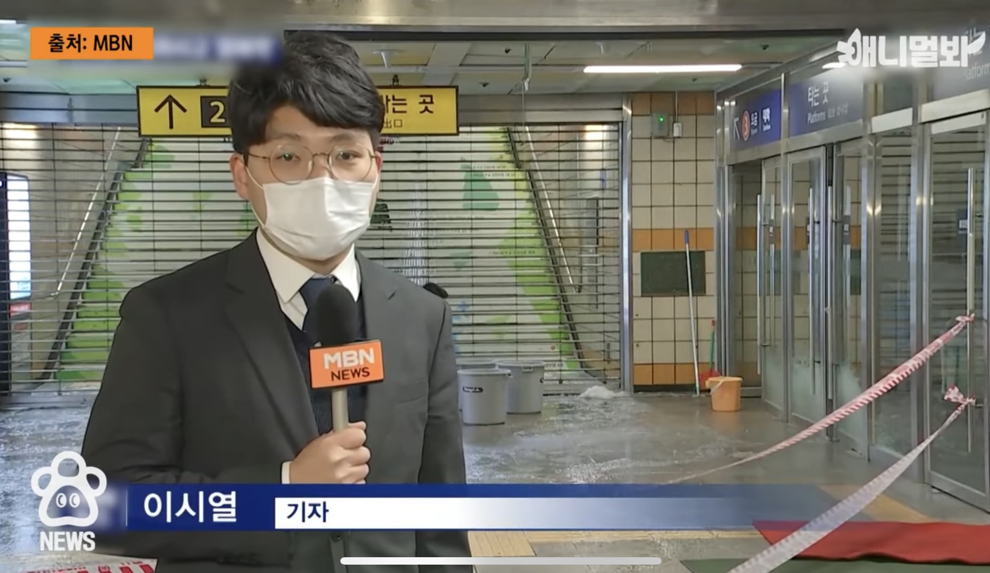 '꽁꽁 얼어붙은 한강위로 고양이가 걸어다닙니다' 챌린지 목소리 주인공 후기 | 인스티즈