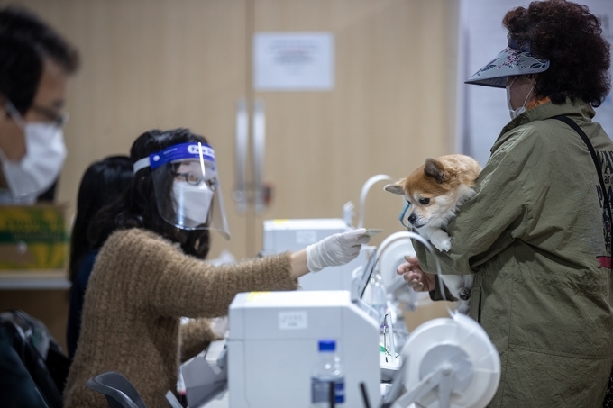 사전투표, 견공도 궁금해! | 인스티즈