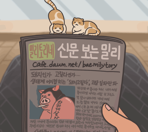 추우면 모서리로 가야하는 이유 | 인스티즈