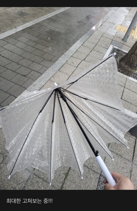 폭우 속 정세운 근황 | 인스티즈