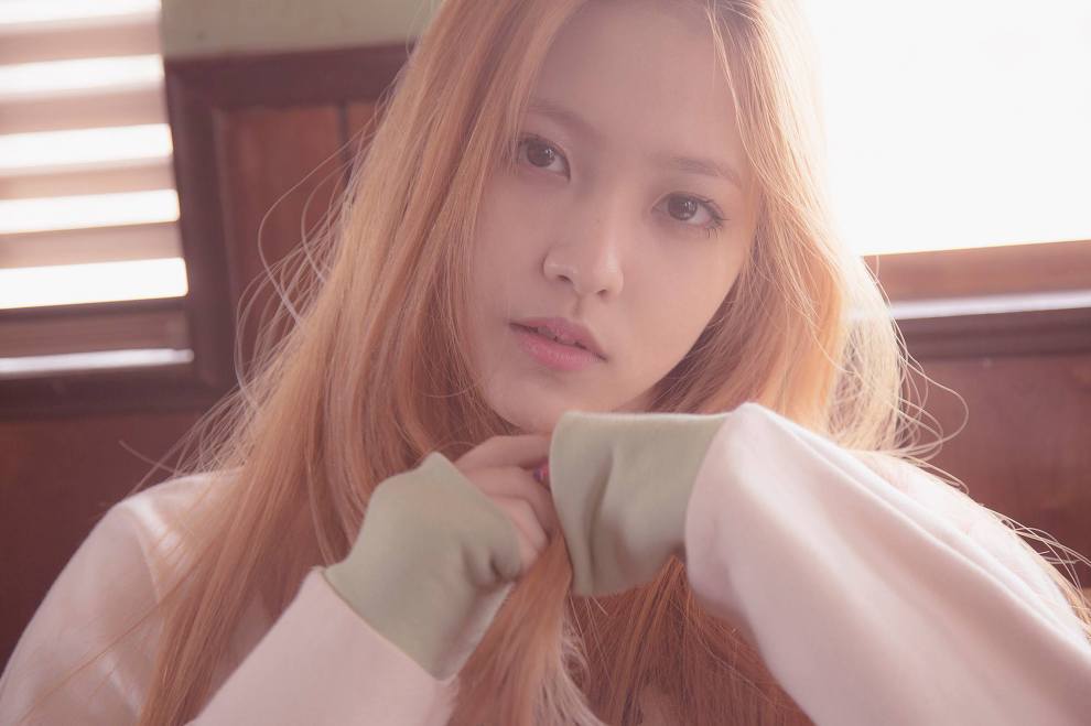 레드V.R 이미지