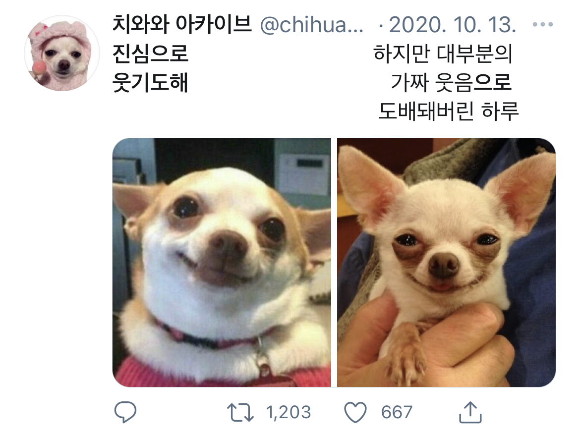 트위터 밈 어원 설명해주는 글 | 인스티즈