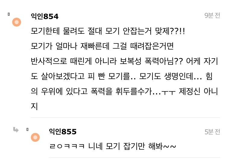 길고양이 한대 때렸는데 내가 잘못한거냐 | 인스티즈