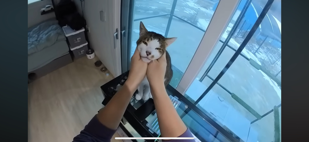 [hahaha] 도라에몽이 된 무(feat.무라에몽) | 인스티즈