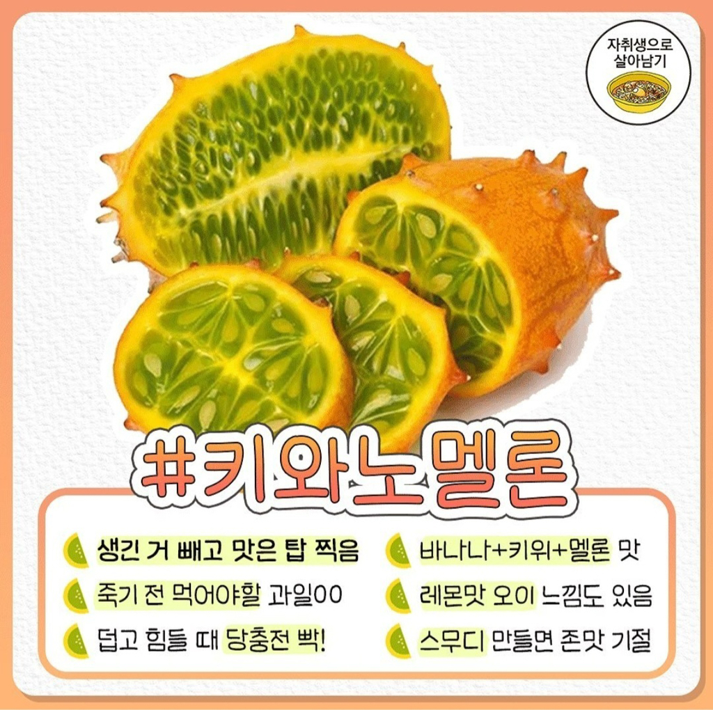 키와노 이미지