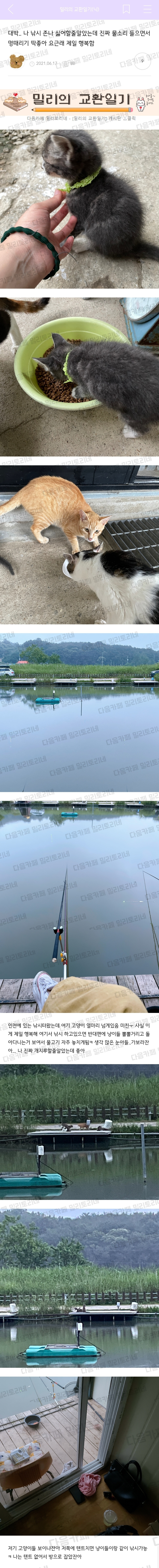 대박 나 낚시 존나 싫어할줄알았는데 진짜 물소리 들으면서 멍때리기 딱좋아 요근래 제일 행복함 | 인스티즈
