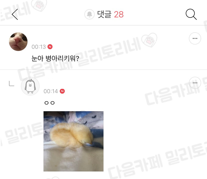 병아리들 내 보지 좋아함 | 인스티즈