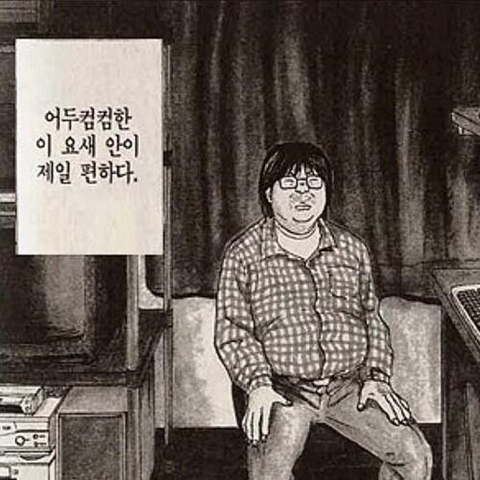 실다 이미지