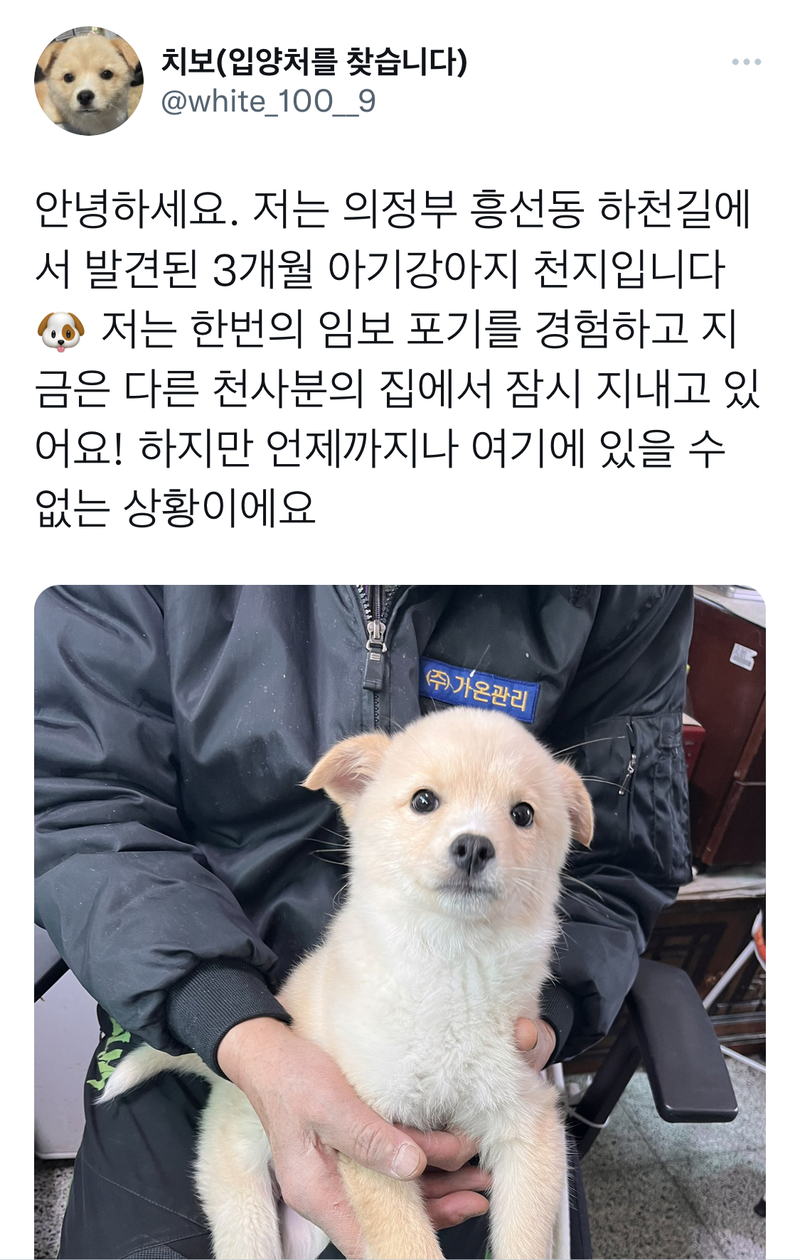 어떻게 이렇게 예의바른 표정의 따끈한 가래떡을 닮은 강아지가.twt | 인스티즈