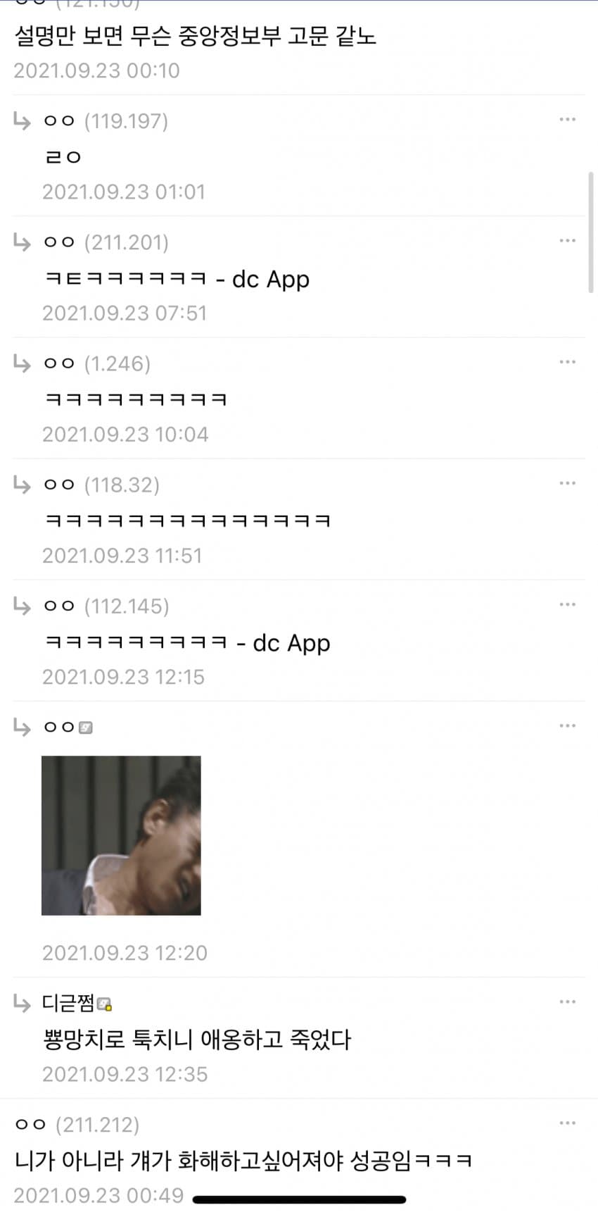 오늘 고양이 훈육했음 (후기 및 방법) | 인스티즈