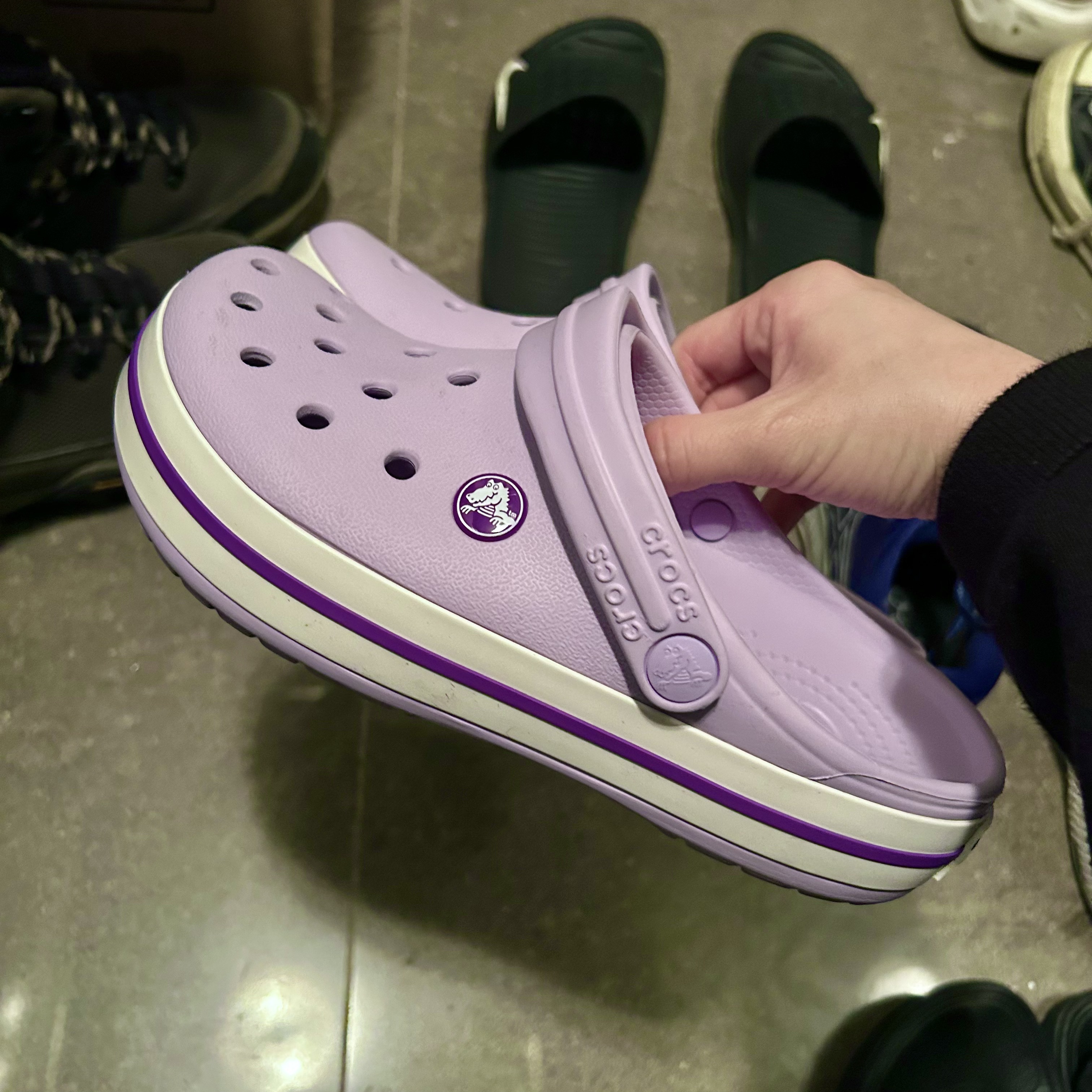 연보라 이미지