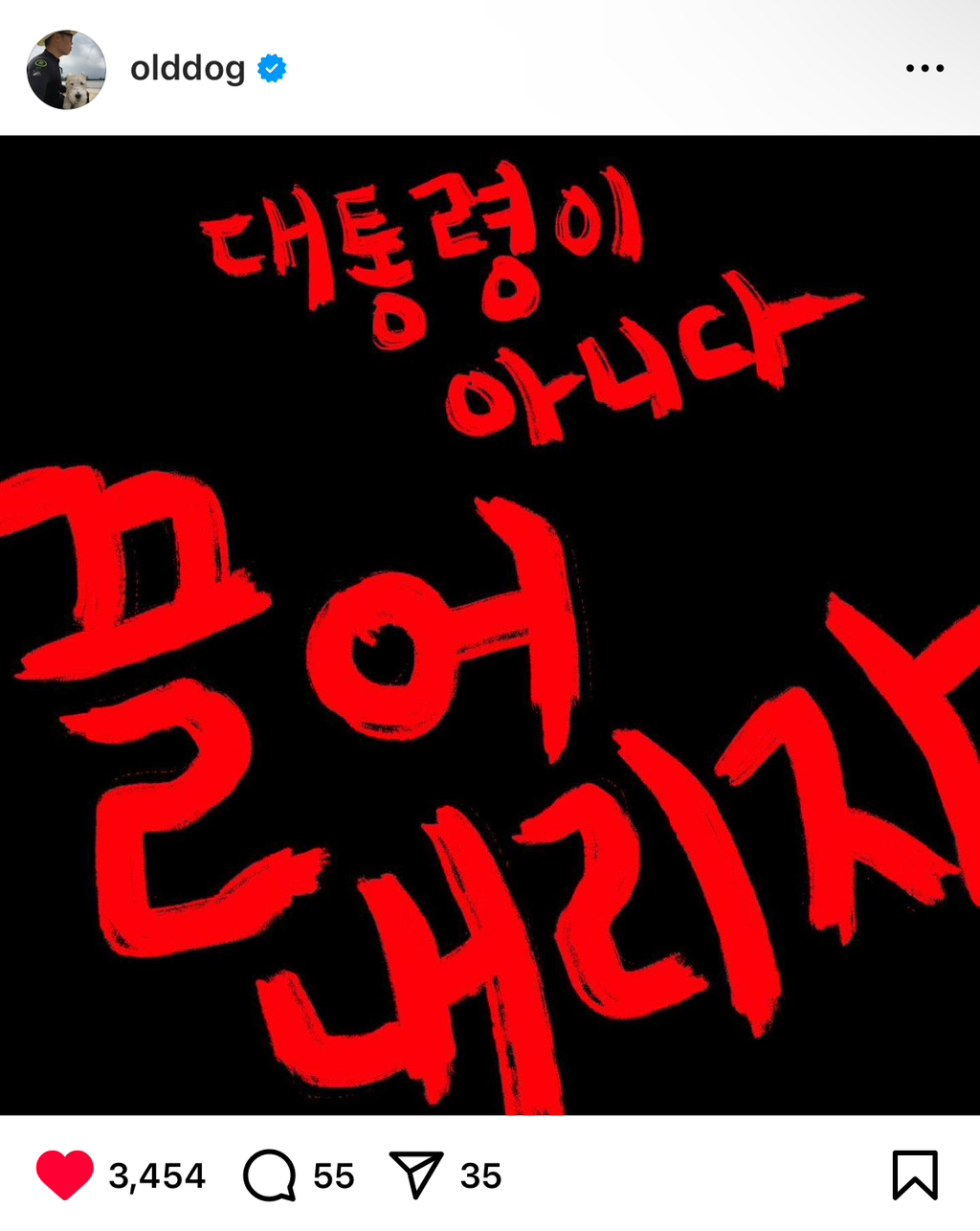 노견일기 올드독 정우열 작가 인스타 게시글 | 인스티즈