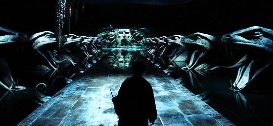 해리포터 팬들 사이에서 갈리는 유형 | 인스티즈