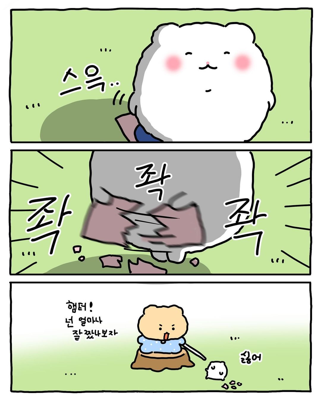 [망그러진곰] 부앙이들아 내 생활계획표 별로야?? | 인스티즈