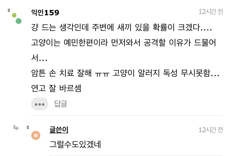 길고양이 한대 때렸는데 내가 잘못한거냐 | 인스티즈