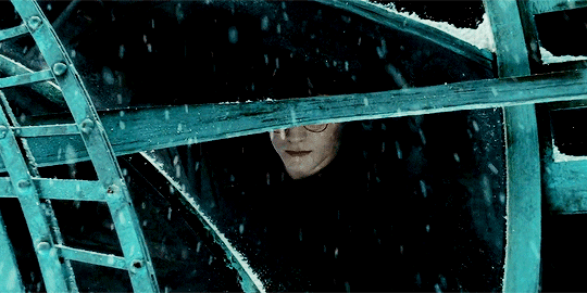 해리포터 팬들 사이에서 갈리는 유형 | 인스티즈