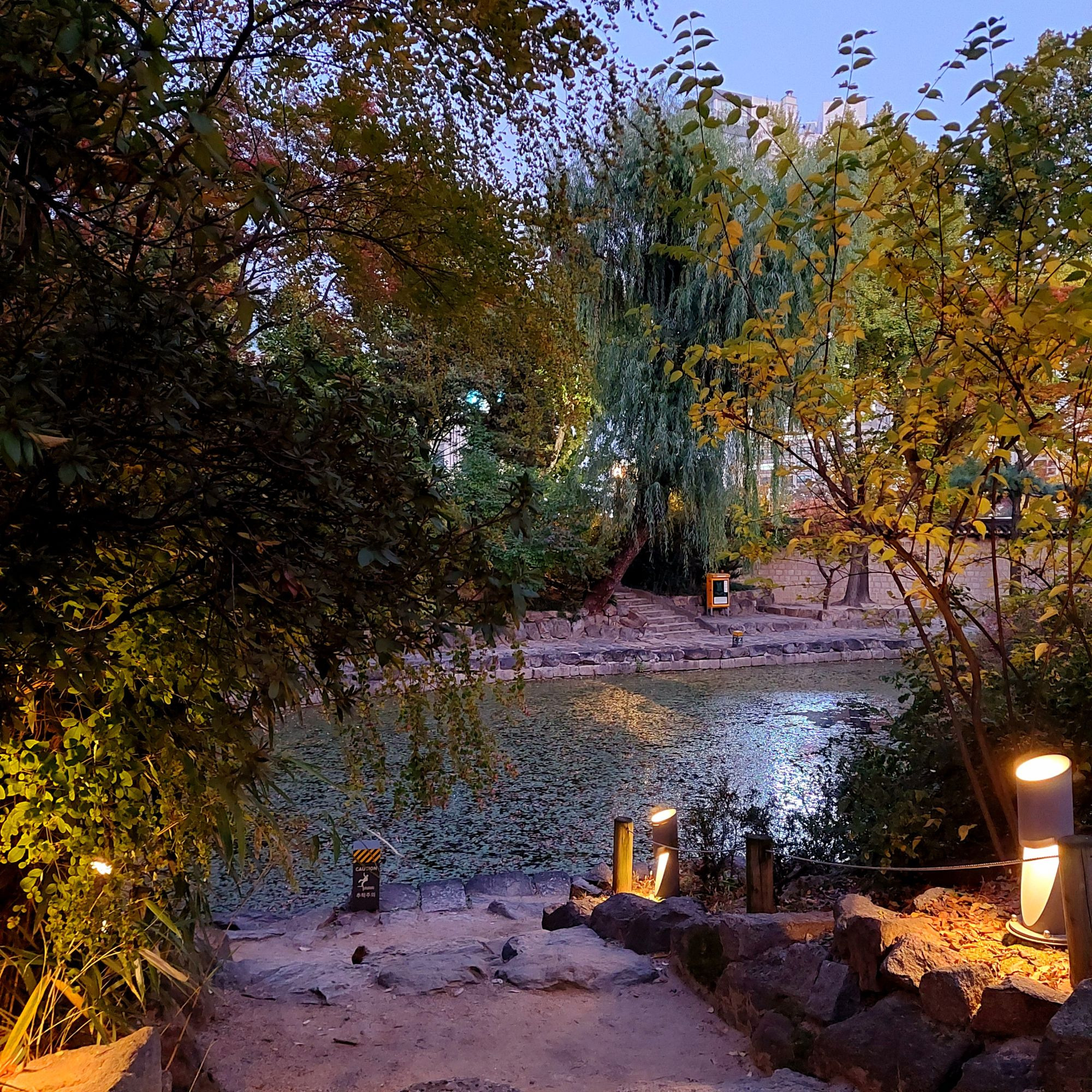 덕수궁가라 제발 | 인스티즈