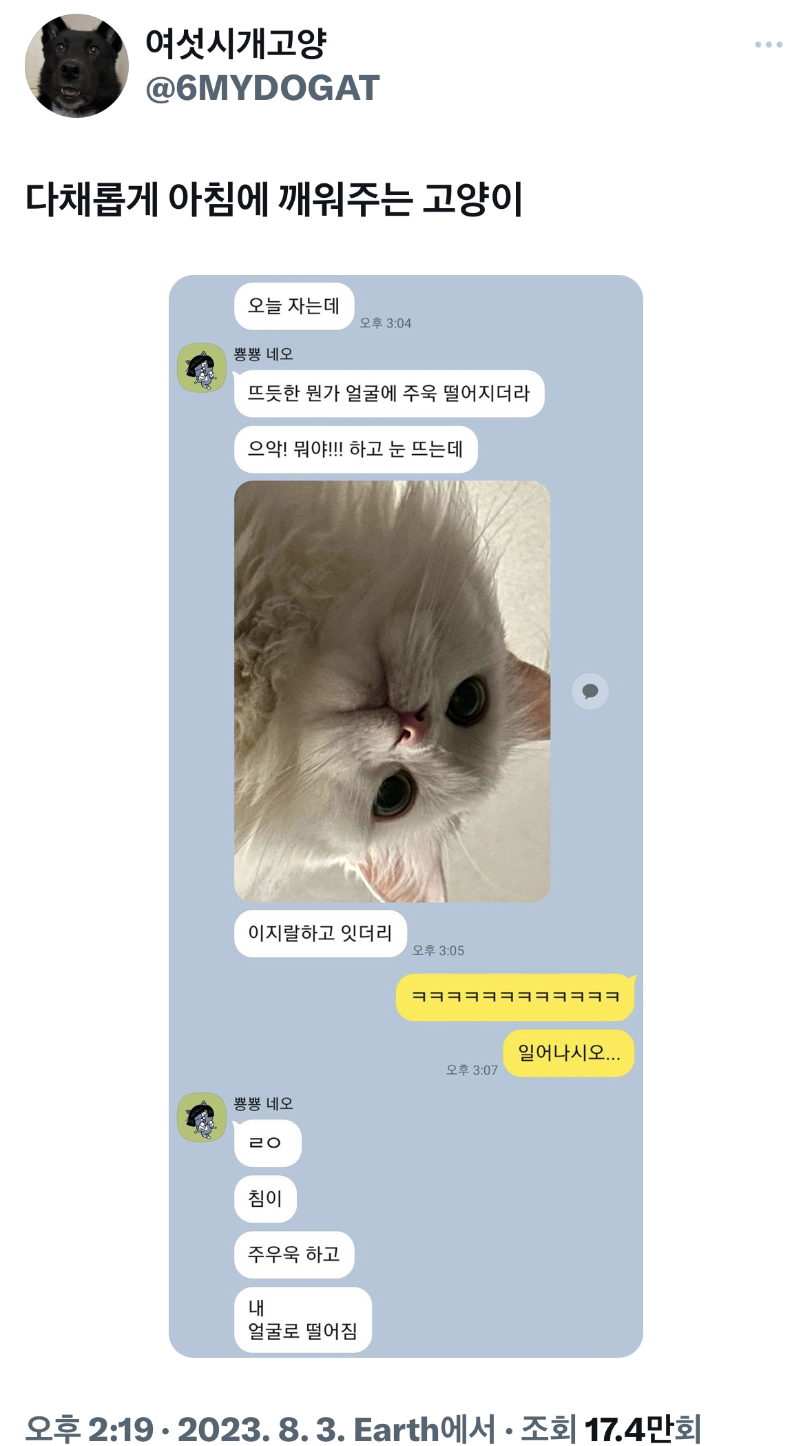 표정뭐야 누워있는사람 첨보나.twt | 인스티즈