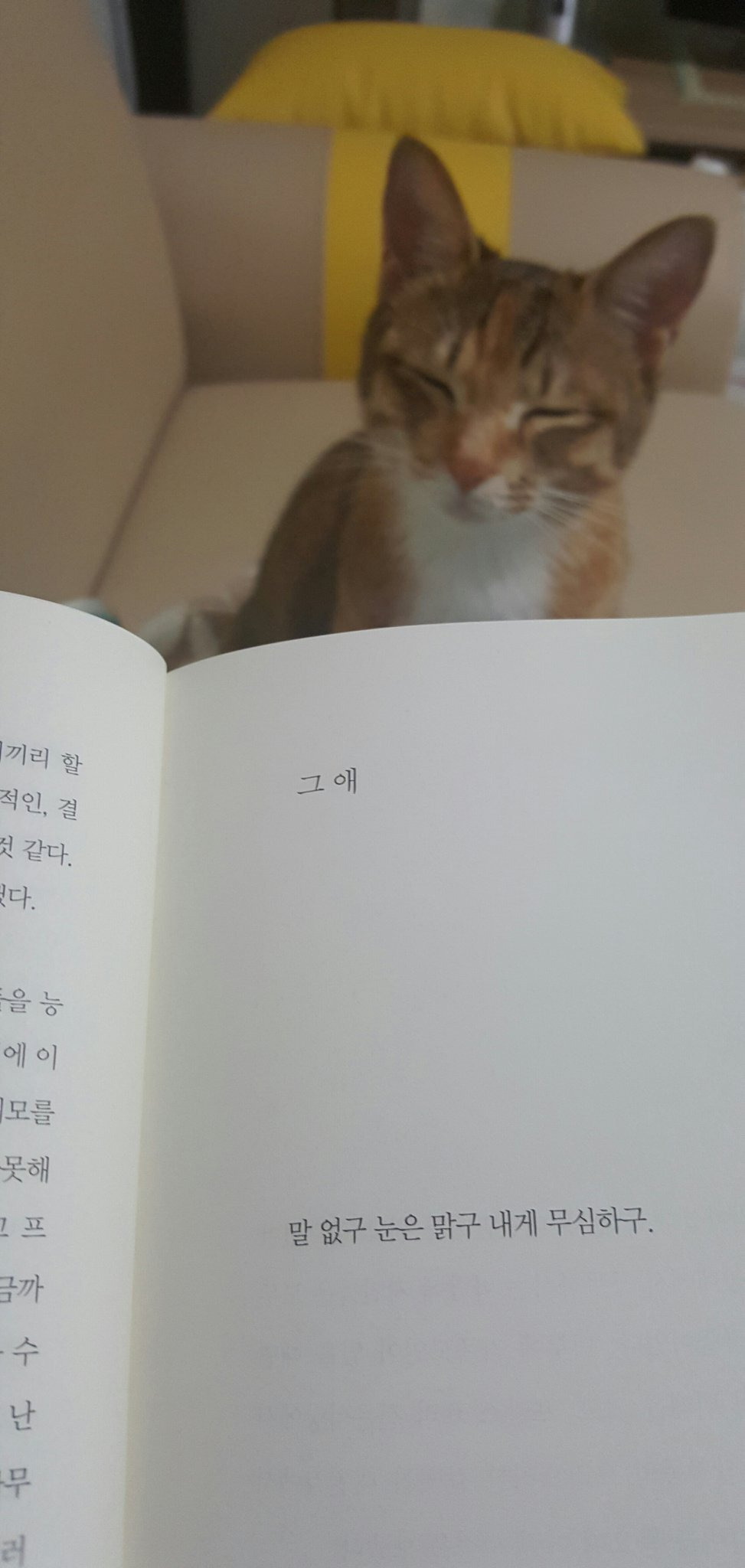 그 애 | 인스티즈
