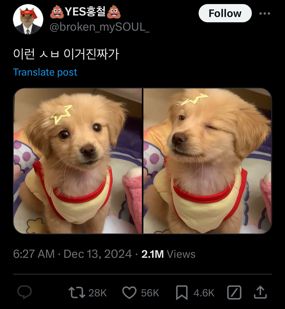 담화문으로 여론 바뀌는듯?.twt | 인스티즈