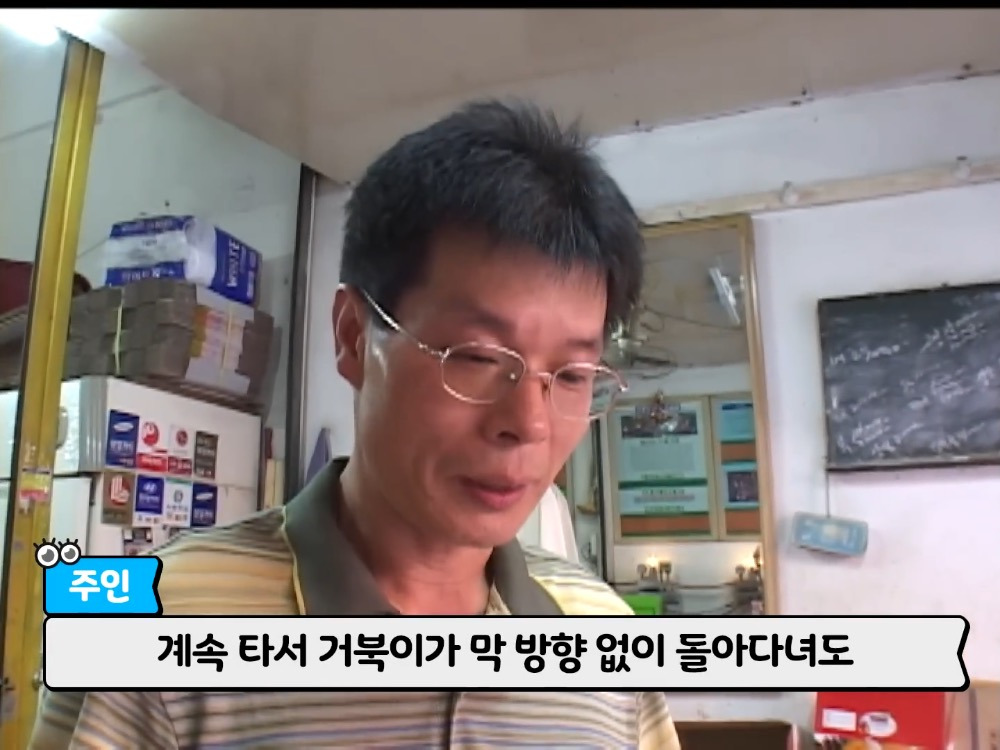 거북이 오너 고양이 | 인스티즈