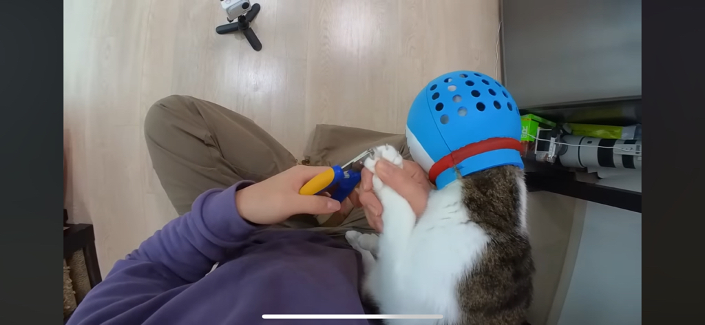 [hahaha] 도라에몽이 된 무(feat.무라에몽) | 인스티즈