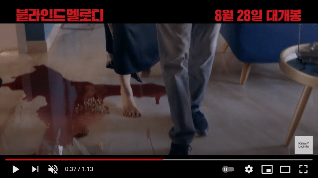 제가 (가짜) 시각장애인인데요...진짜 살인사건을 목격했어요.jpg (넷플추천) | 인스티즈