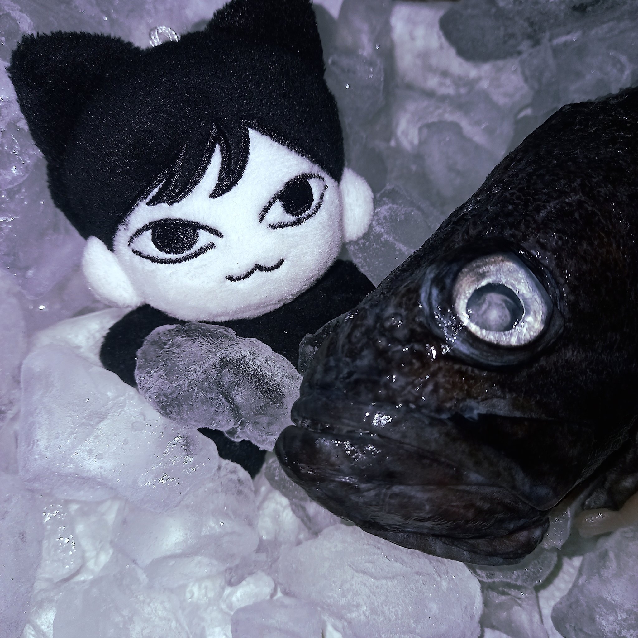 정말 특이해서 현대예술이라는 평을 듣는 주연인형계 | 인스티즈