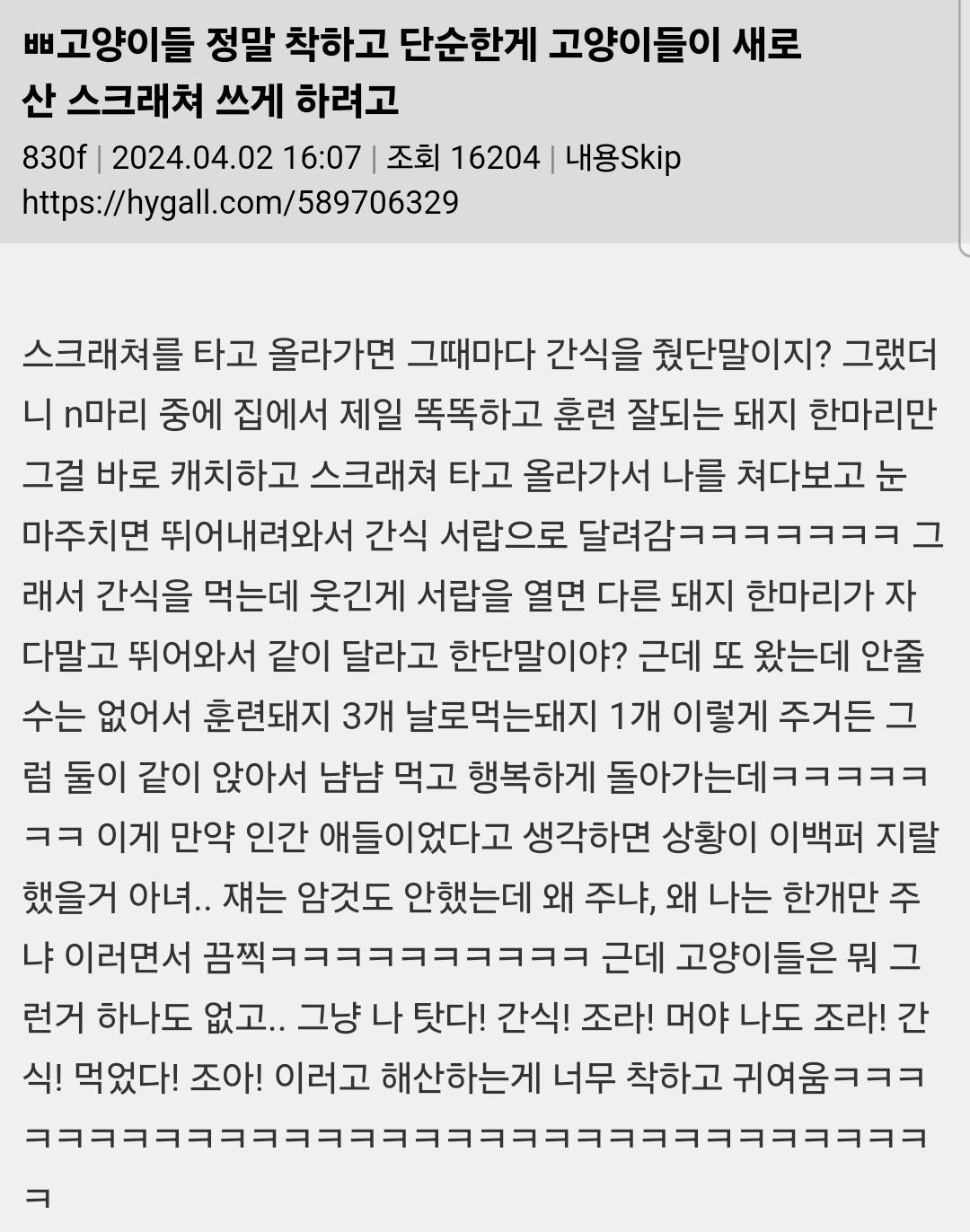 고양이들 정말 착하고 단순한게 고양이들이 새로 산 스크래쳐 쓰게 하려고 | 인스티즈