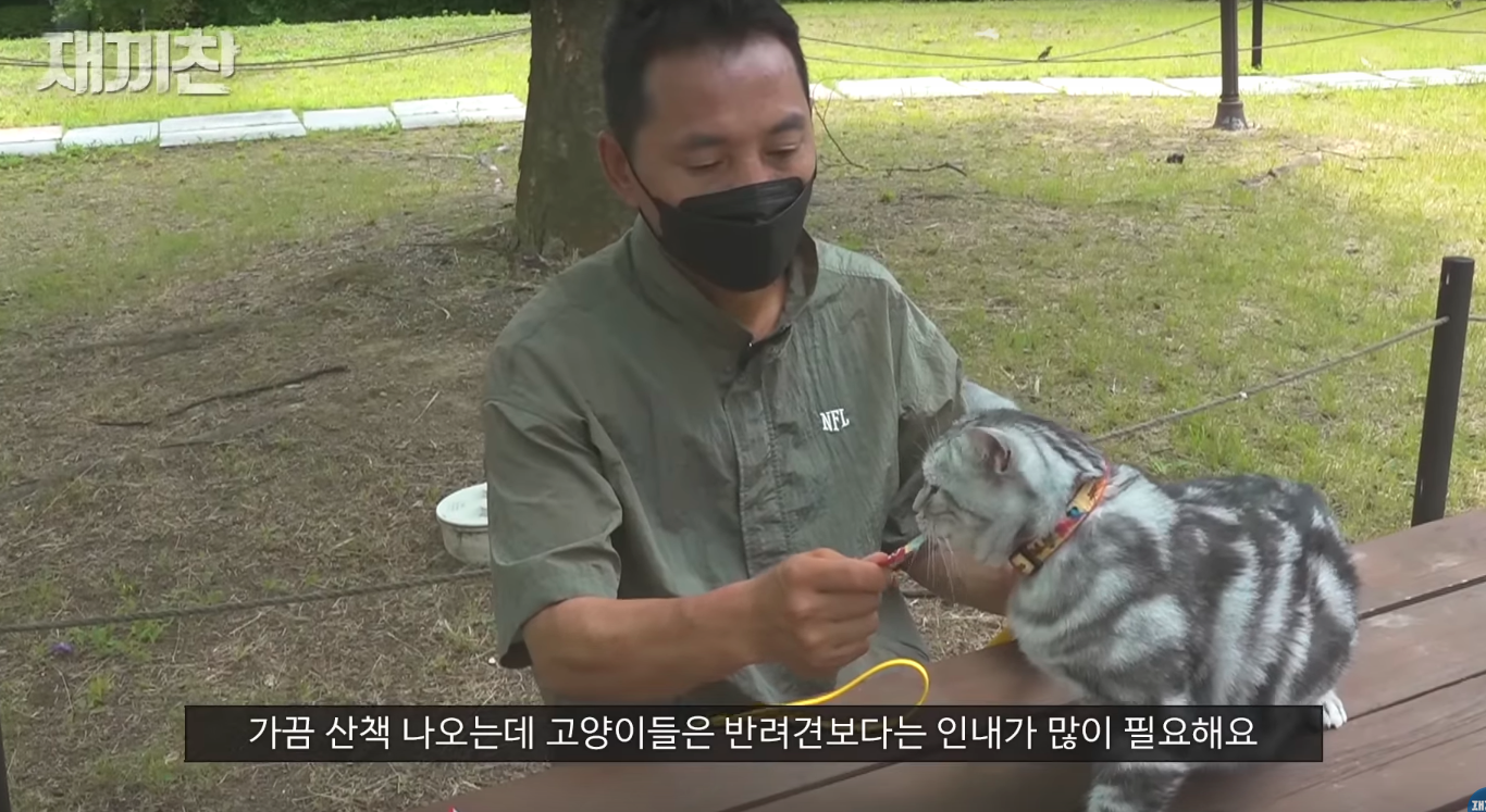 고양이 산책 시키는 강아지 훈련사 이찬종 선생님 | 인스티즈