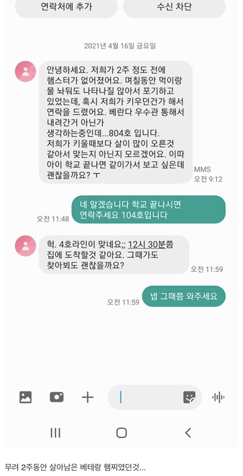 집에서 쥐 나왔는데 햄스터 같기도 하고..(+후기) | 인스티즈